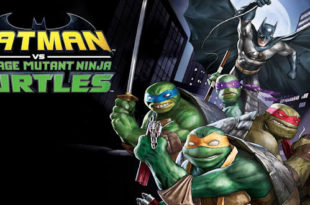 Batman Animated Ninja Turtles