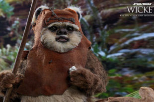 Star Wars Wicket - 1/6 Action Figure By Hot Toys