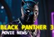 Top Marvel Movie News You Can't Ignore About Black Panther 3